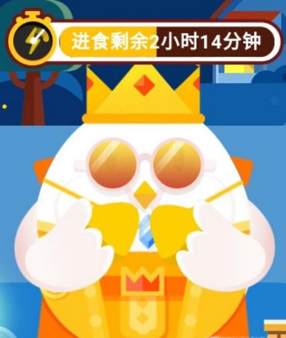 怎么在支付寶螞蟻莊園最大限度的獲取飼料