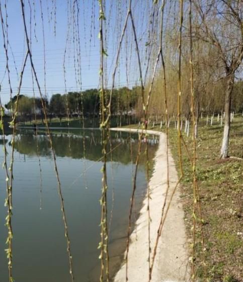 怎么更改微信首頁封面圖片？