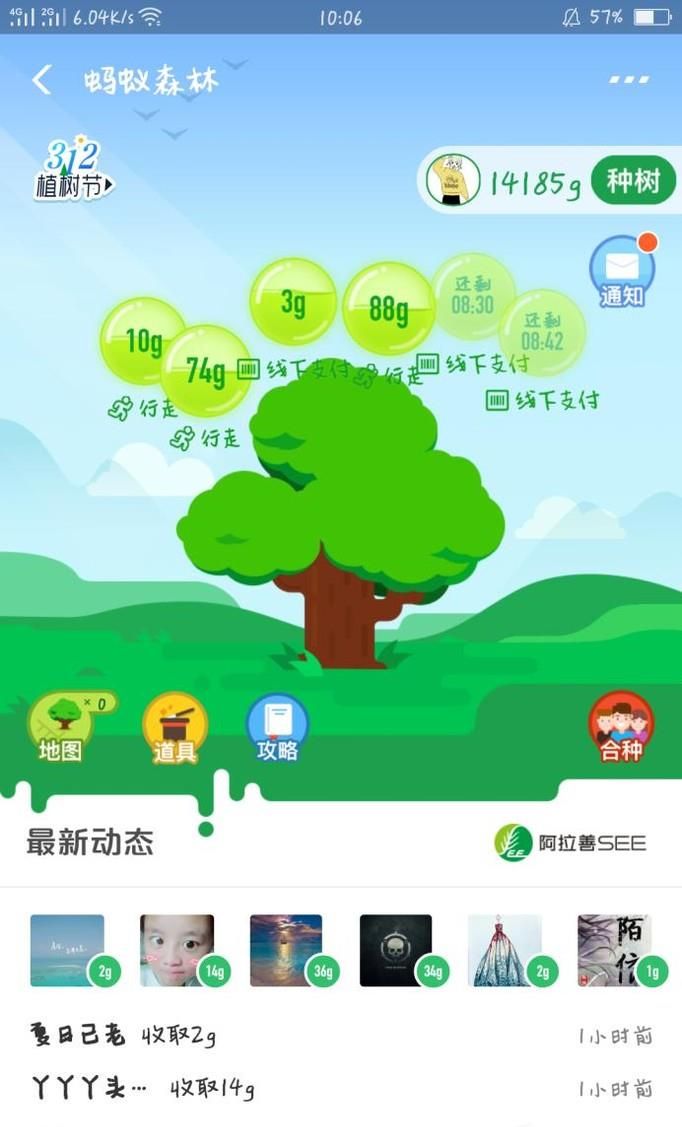 支付寶螞蟻森林大樹養成了如何領取種苗